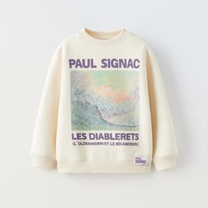 Zara Les Diablerets Sweatshirt NWT